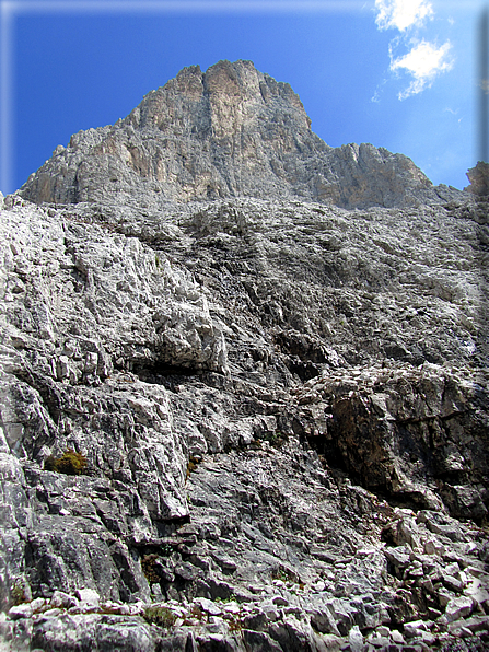 foto Pale di San Martino